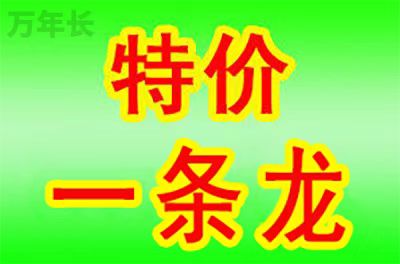 淮南安徽省淮南市大通区陵园有哪些优惠政策